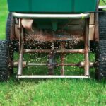 Perfect Lawn Maintenance Timing_ When to Fertilize, Water, Spray Weeds and More in Texas