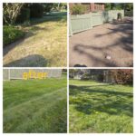 20251122_124357-COLLAGE